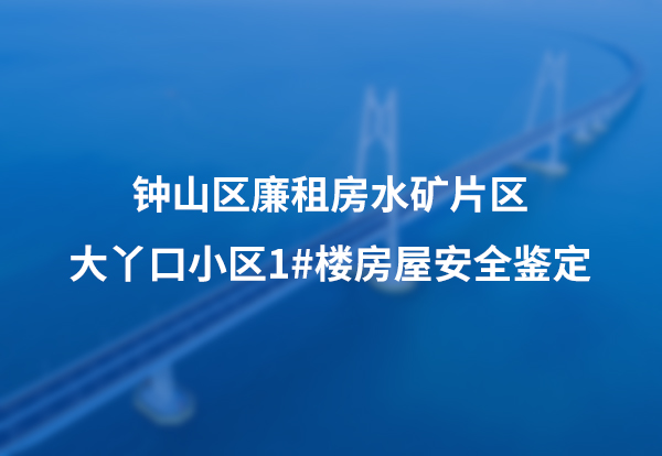 钟山区廉租房水矿片区大丫口小区1楼房屋安全鉴定