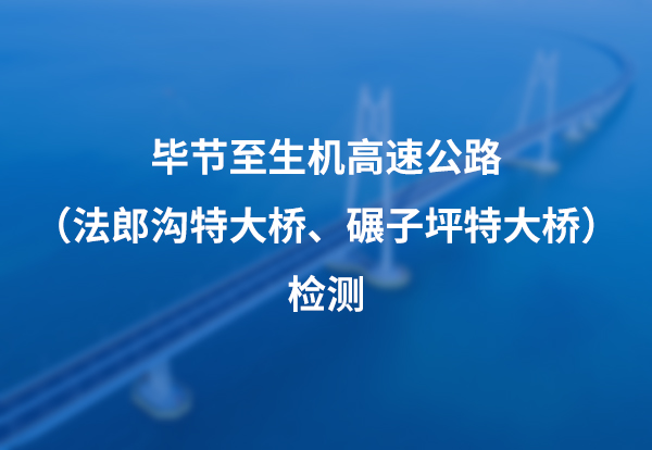 毕节至生机高速公路（法郎沟特大桥、碾子坪特大桥）检测