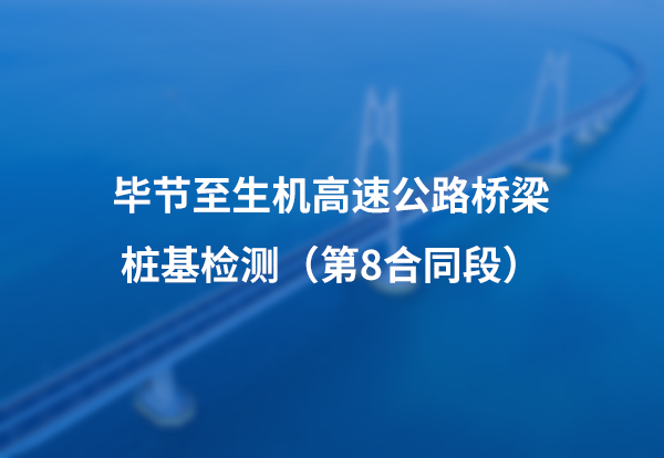 毕节至生机高速公路桥梁桩基检测（第8合同段）