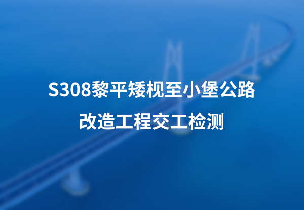 S308黎平矮枧至小堡公路改造工程交工检测