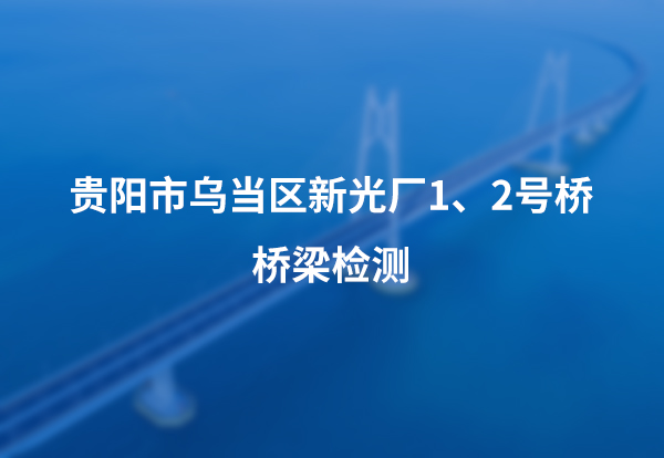 贵阳市乌当区新光厂1、2号桥桥梁检测