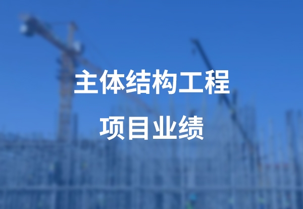 主体结构工程项目案例展示
